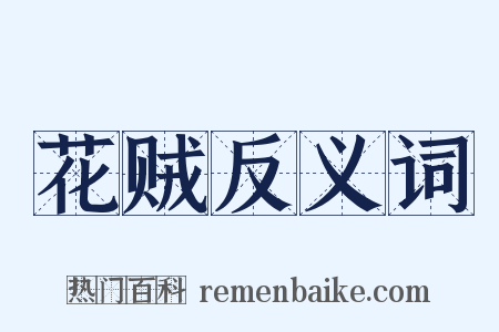 花贼反义词是什么意思的图片